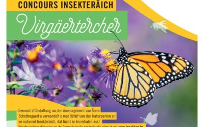Concours Insekteräich Virgäertercher